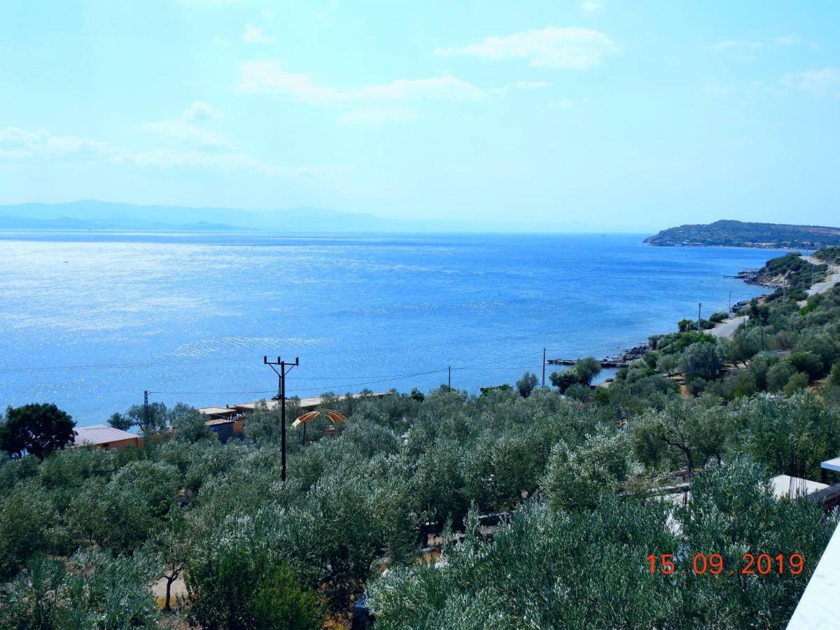 Assos Nazan Motel Restoran Beach Sokakagzi Extérieur photo